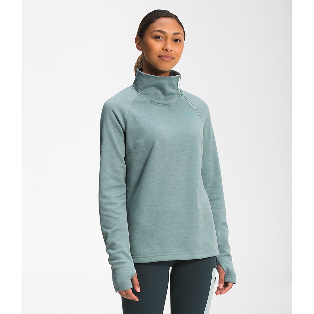 The North Face Fleece Jacket Womens Australia - The North Face Canyonlands ¼ Zip Silver Blue Climb (